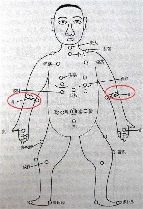 手臂內側手臂有痣|從手上的痣看你的好運在哪？上手臂有痣善於察言觀色、手掌有痣。